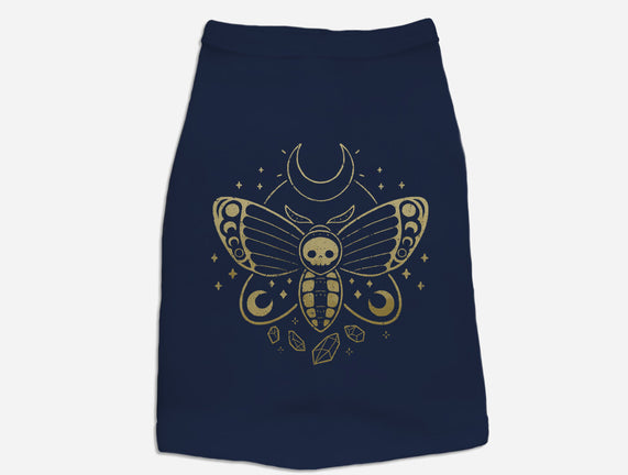 Deaths Head Moth