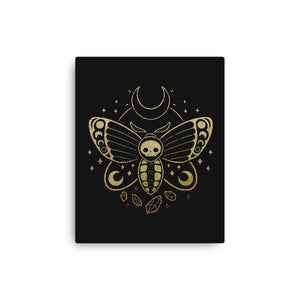 Deaths Head Moth