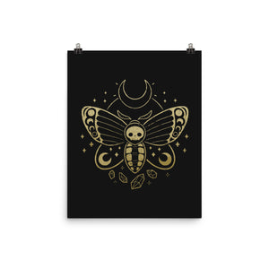 Deaths Head Moth