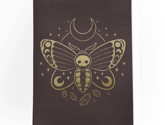 Deaths Head Moth