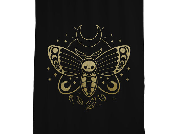 Deaths Head Moth