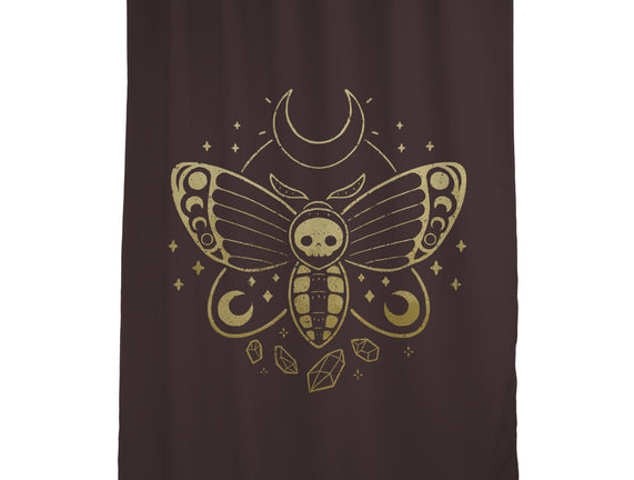 Deaths Head Moth