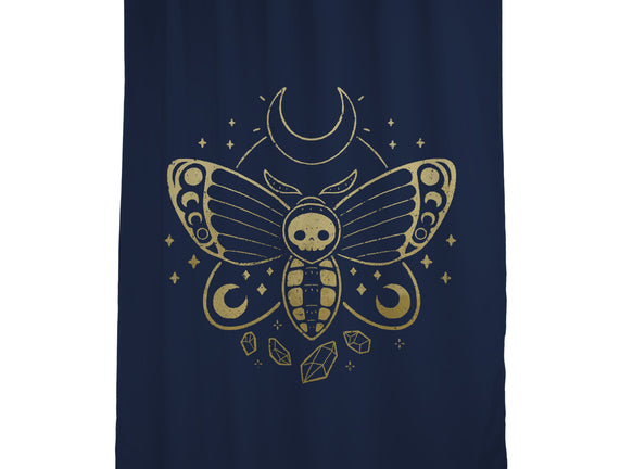 Deaths Head Moth