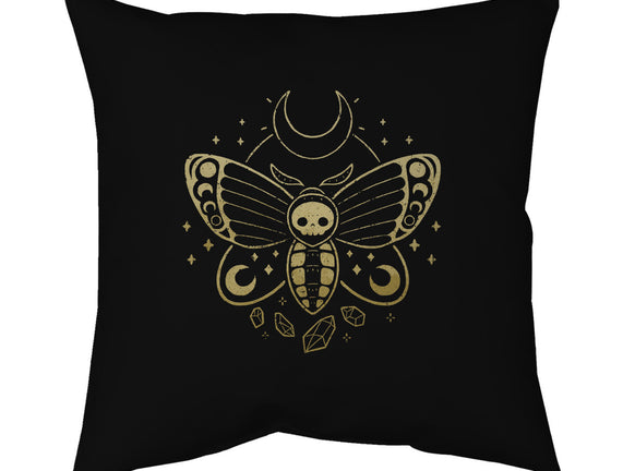 Deaths Head Moth