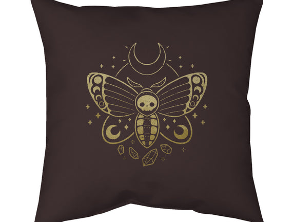 Deaths Head Moth