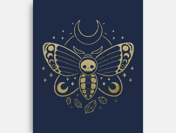 Deaths Head Moth