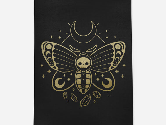 Deaths Head Moth