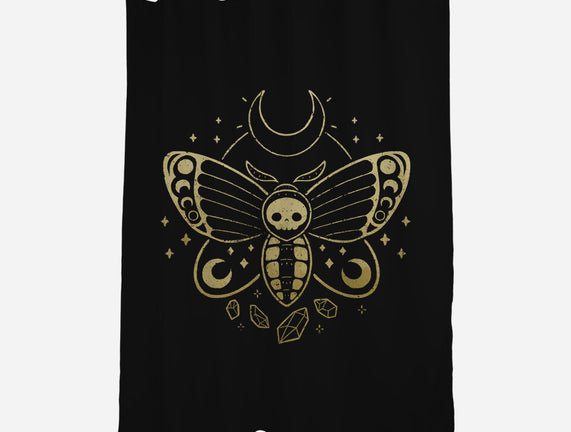 Deaths Head Moth