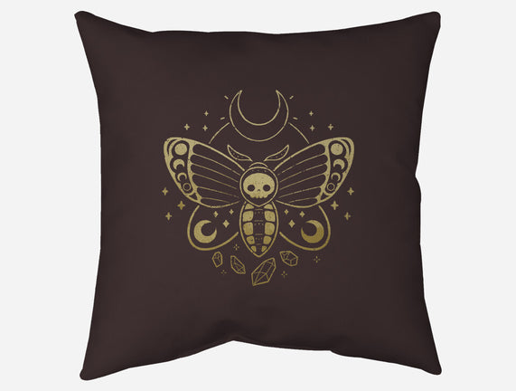 Deaths Head Moth