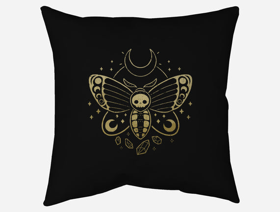 Deaths Head Moth