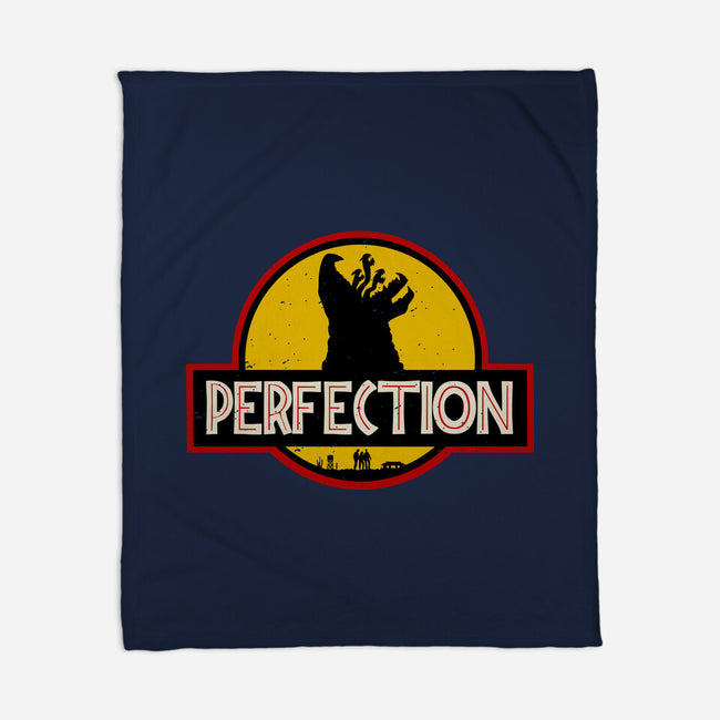 Perfection Park-None-Fleece-Blanket-Melonseta