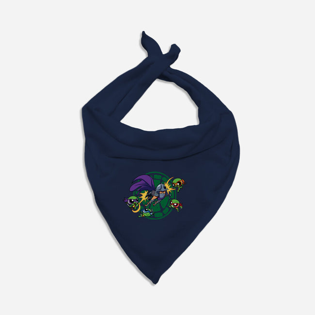 Turtletough Boys-Dog-Bandana-Pet Collar-Jc Jows