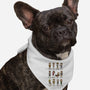 Office Behavior-Dog-Bandana-Pet Collar-kg07