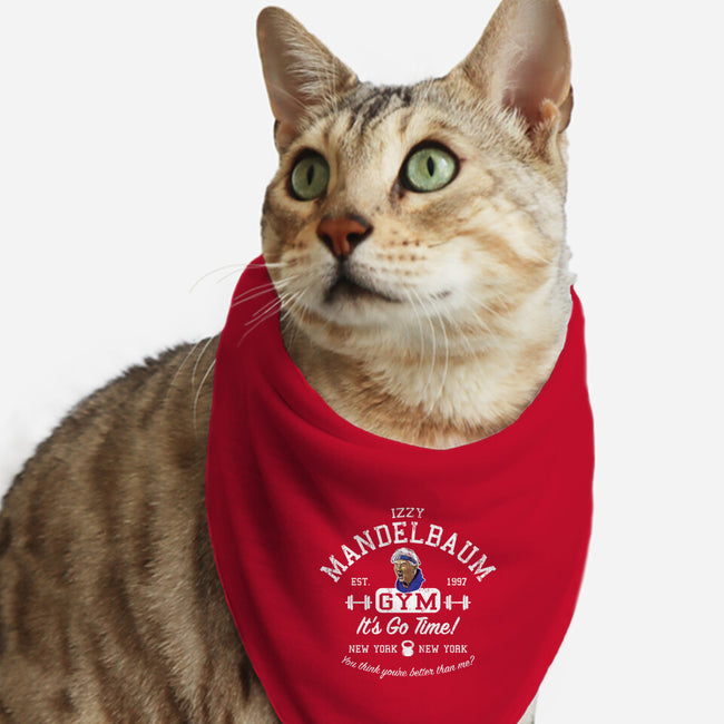 Izzy Mandelbaum Gym-Cat-Bandana-Pet Collar-AlemaArt