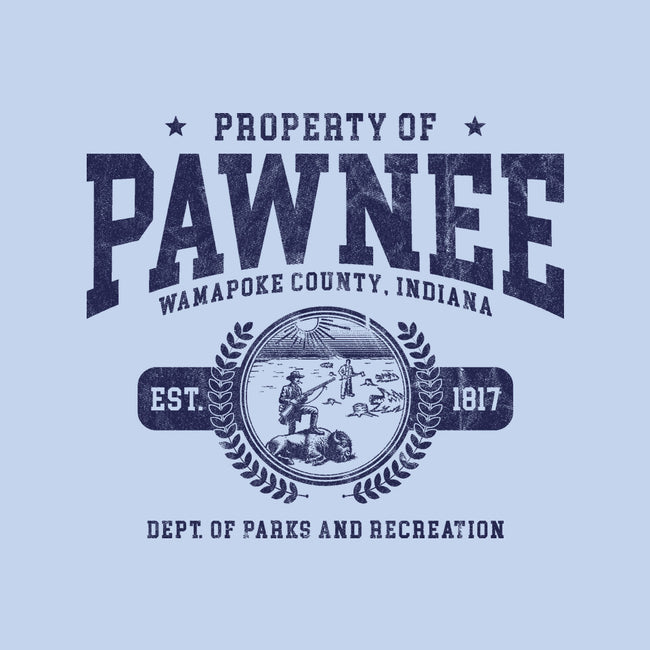 Property Of Pawnee-None-Removable Cover-Throw Pillow-ACraigL