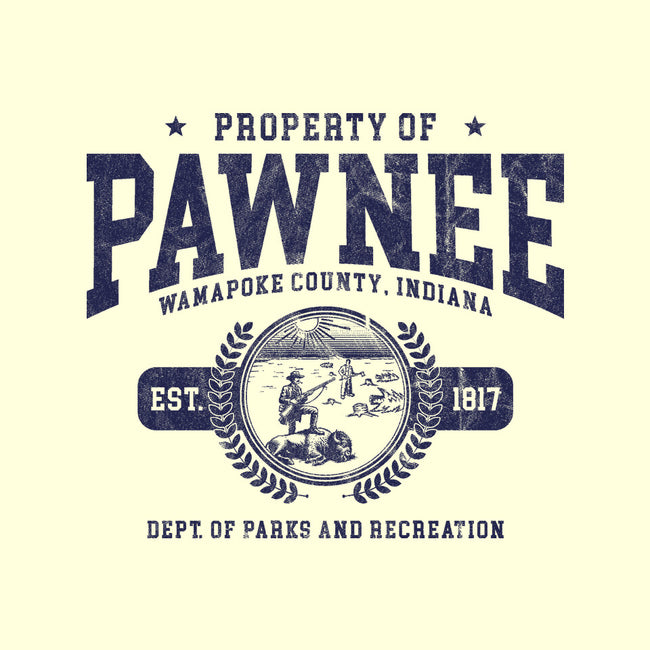 Property Of Pawnee-None-Removable Cover w Insert-Throw Pillow-ACraigL