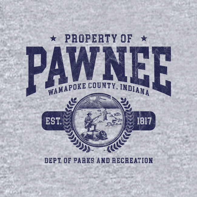 Property Of Pawnee-Mens-Heavyweight-Tee-ACraigL