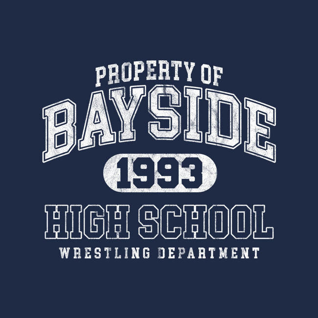 Property Of Bayside High-None-Non-Removable Cover w Insert-Throw Pillow-ACraigL