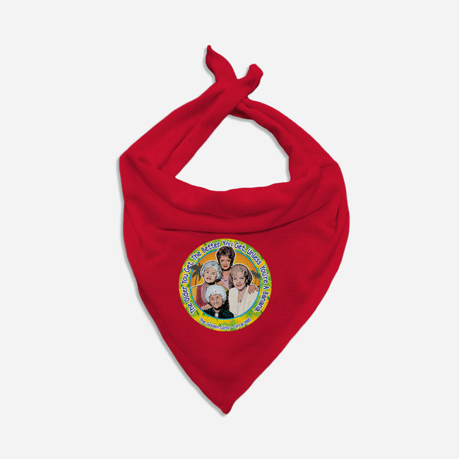 The Better You Get-Dog-Bandana-Pet Collar-AlemaArt