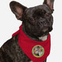 The Better You Get-Dog-Bandana-Pet Collar-AlemaArt