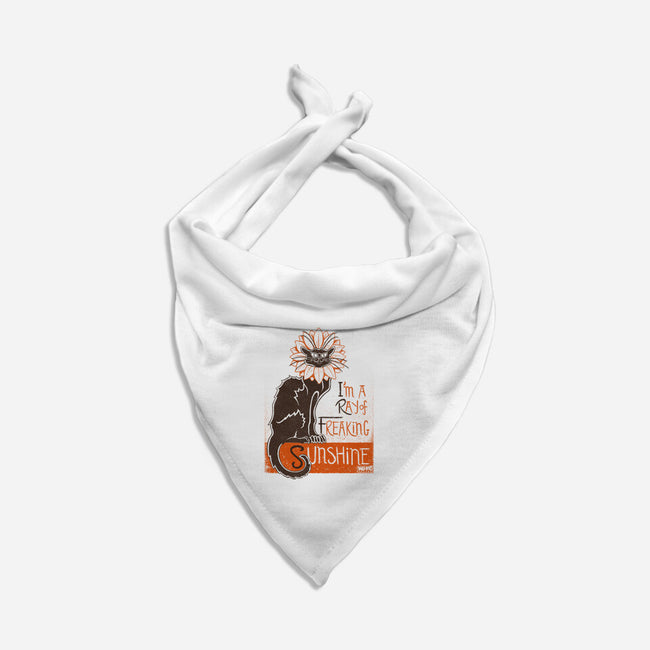 Ray Of Freaking Sunshine Cats-Dog-Bandana-Pet Collar-worlddominationforcats