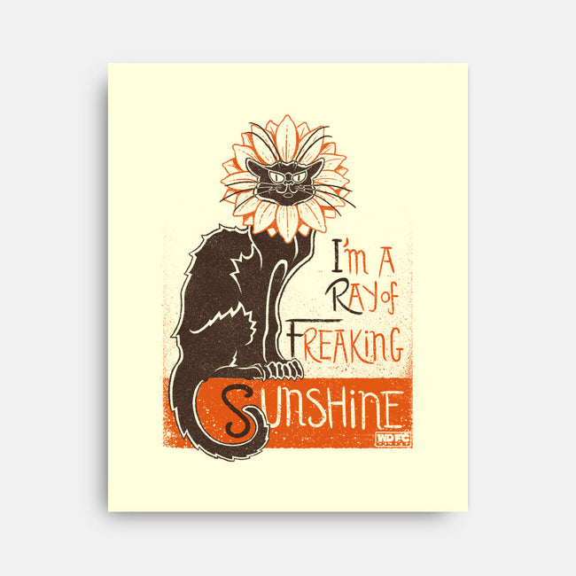 Ray Of Freaking Sunshine Cats-None-Stretched-Canvas-worlddominationforcats