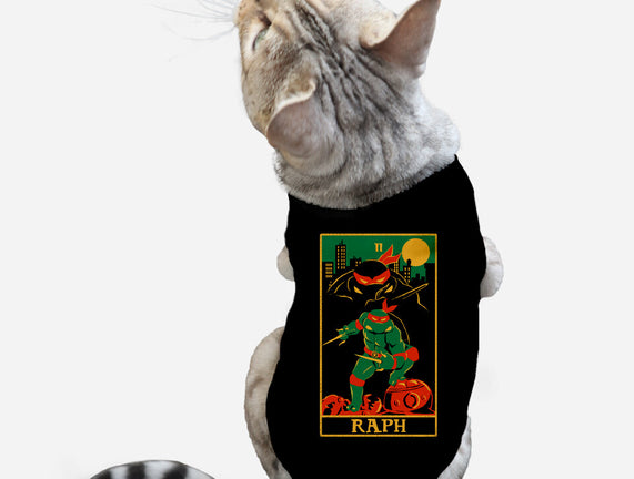 Raph Tarot Card