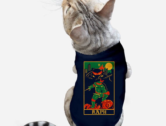 Raph Tarot Card