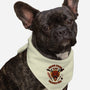 Dragon Riding Club-Dog-Bandana-Pet Collar-rmatix