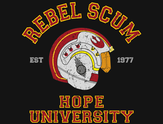 Rebel University