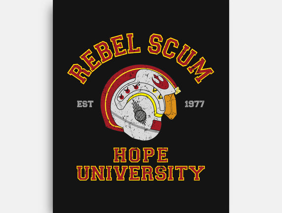 Rebel University