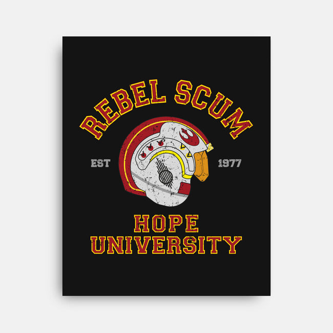 Rebel University-None-Stretched-Canvas-sebasebi