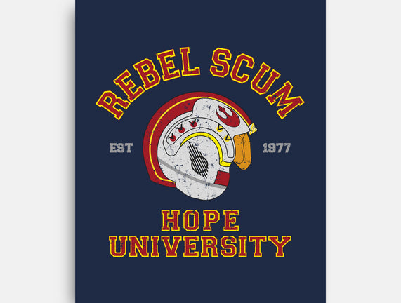 Rebel University