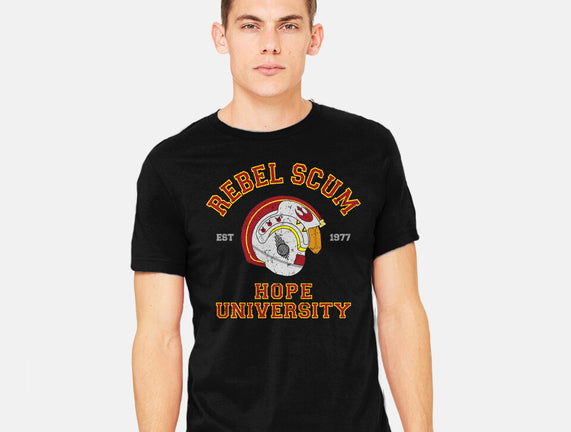 Rebel University