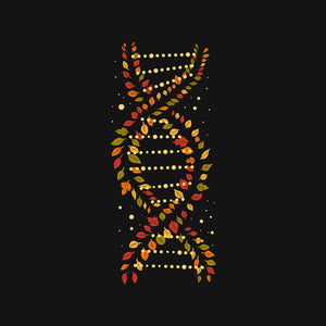 Autumn DNA