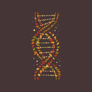 Autumn DNA