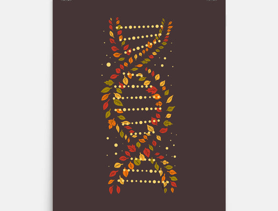 Autumn DNA