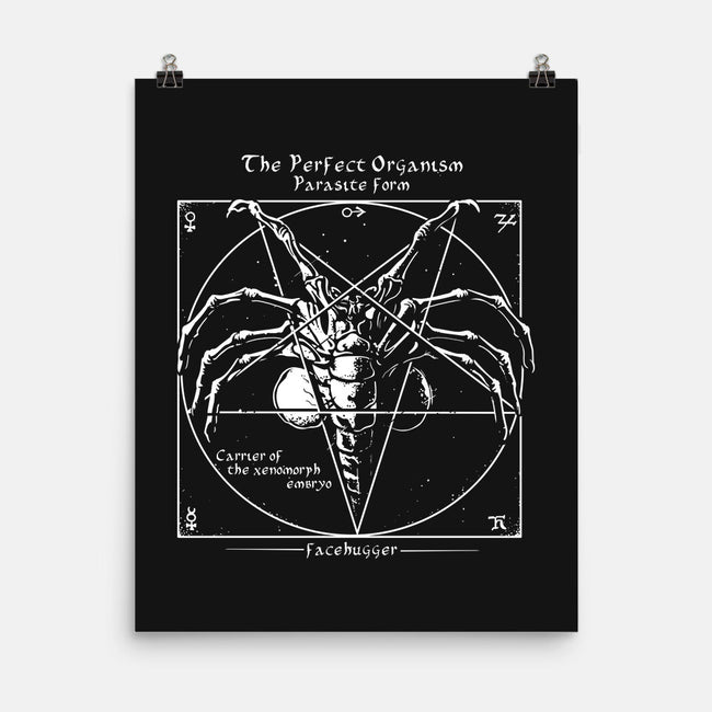 Alien Pentagram-None-Matte-Poster-daobiwan