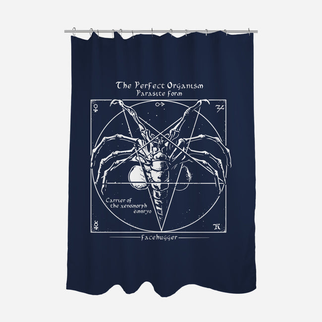 Alien Pentagram-None-Polyester-Shower Curtain-daobiwan