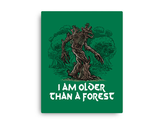 Older Than A Forest