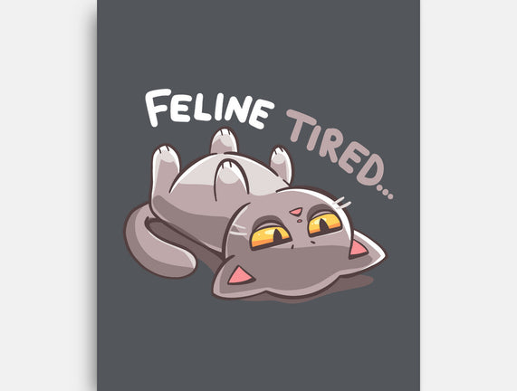 Feline Tired