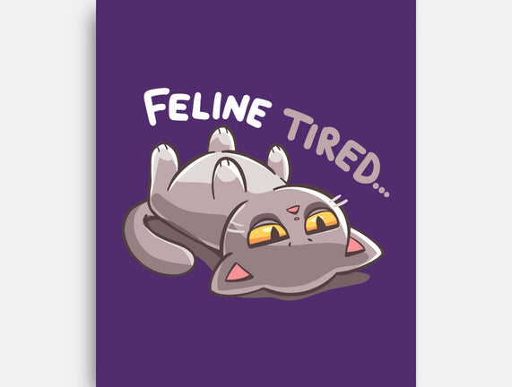 Feline Tired