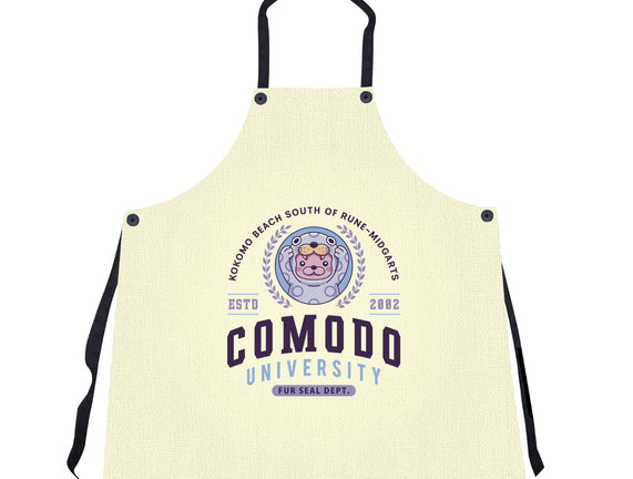 Comodo University