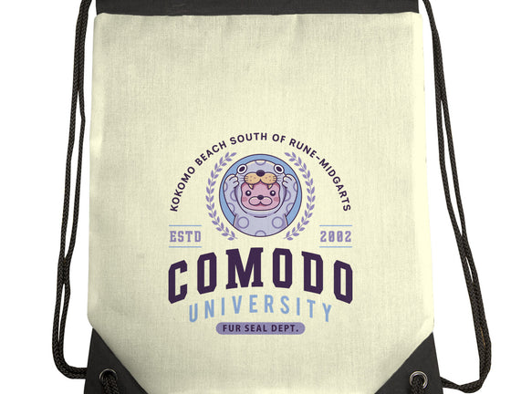 Comodo University