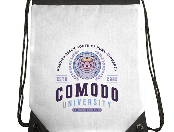 Comodo University