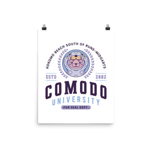 Comodo University