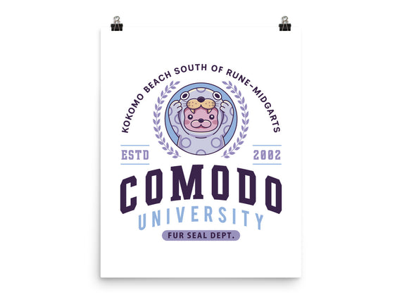 Comodo University