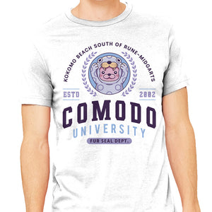 Comodo University