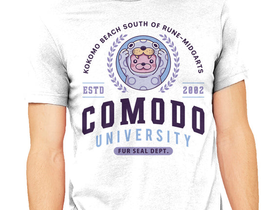 Comodo University