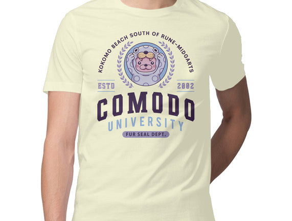 Comodo University